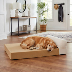 Hund auf beigem Komfortbett Bevis mit gepolsterter Rückenlehne, umgeben von einem Tisch und einer Lampe im Hintergrund.