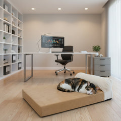 "Moderne Büroumgebung mit Schreibtisch, ergonomischem Stuhl, Computer und schlafender Katze auf Hundebett."