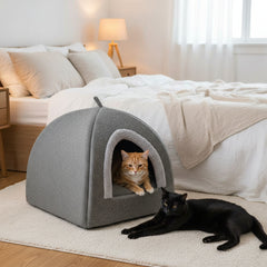 Gemütlicher Raum mit grauem Katzenhaus, orangefarbener Katze im Eingang und schwarzer Katze davor.