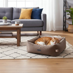 Gemütliches Wohnzimmer mit grauem Sofa, bunten Kissen und einem orangefarbenen Kater auf hellem Teppich.