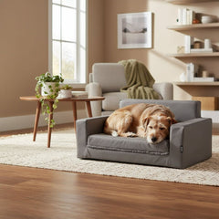 Gemütlicher Hund auf grauem Hundebett in modernem Wohnzimmer mit Tisch und Sessel.