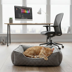 Gemütliche Katzenliege Garik mit orangefarbiger Katze im modernen Raum mit Schreibtisch und großen Fenstern.