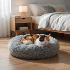 Kätzchen entspannt auf runden, grauen Komfortkissen Ares in gemütlichem Schlafzimmer mit sanfter Beleuchtung.