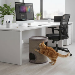 "Moderne Büroumgebung mit Computer und Katzenkratzbaum in Zylinderform. Orangefarbene Katze springt freudig hinein."