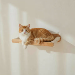 Entspannte orange-weiße Katze auf einem Holzregal mit samtiger Liegefläche vor heller Wand und Fenster.