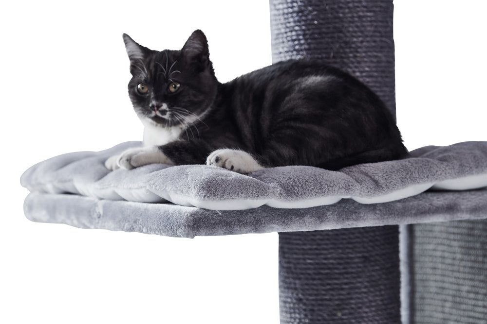Katze entspannt auf grauem Kissen eines Kratzbaums mit texturierter Säule und einladender Oberfläche.