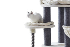 "Kratzbaum ARDA in neutralen Farben mit Plattformen, kuscheligen Liegeflächen und weißer Katze, die aufmerksam sitzt."