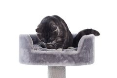 Grauer Kratzbaum Classic ZERA mit runder, gepolsterter Plattform und sitzender schwarzer Katze. Ideal für Katzenliebhaber.