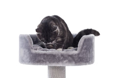 Grauer Kratzbaum Classic ZERA mit runder, gepolsterter Plattform und sitzender schwarzer Katze. Ideal für Katzenliebhaber.
