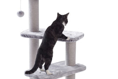 Schwarze und weiße Katze auf grauem Kratzbaum Classic ZERA mit mehreren Plattformen und hängender Spielkugel.