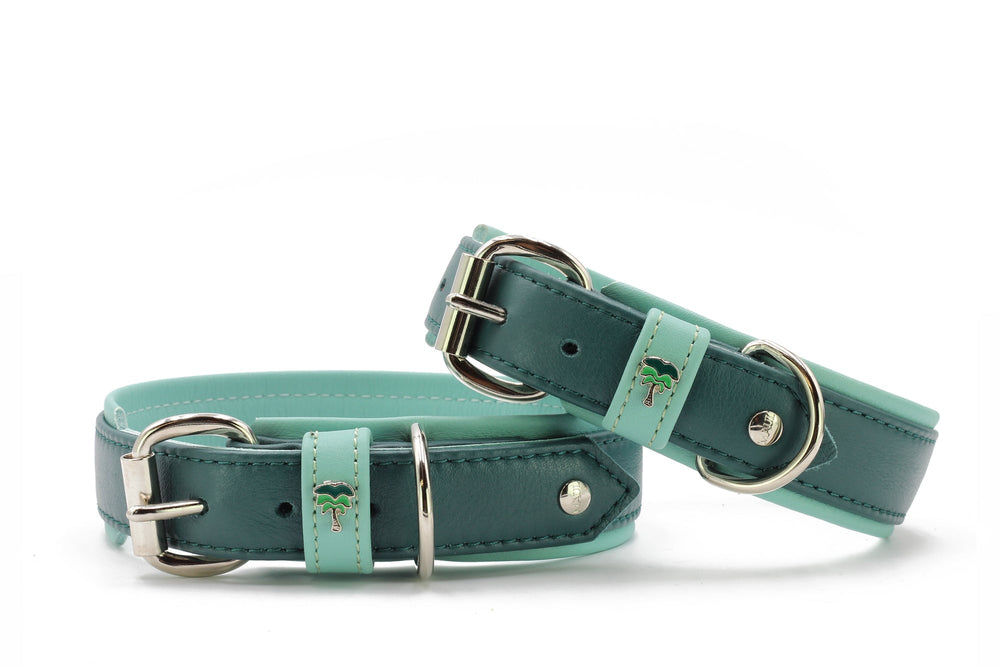 Halsband Honolulu: Zwei grüne Lederhalsbänder mit silbernen Beschlägen und mintgrüner Verzierung für Hunde.