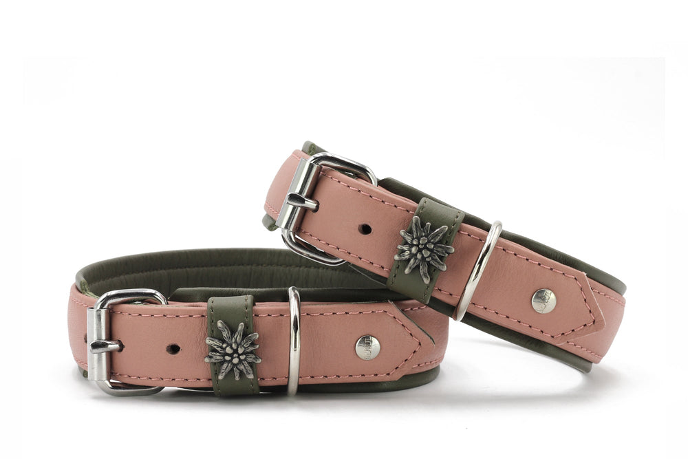 Zwei stilvolle Hundehalsbänder in rosa und olivgrün mit silberner Schnalle und blumenförmiger Verzierung.