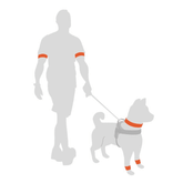 Mensch führt Hund an der Leine, beide tragen orangefarbene Accessoires auf weißem Hintergrund.