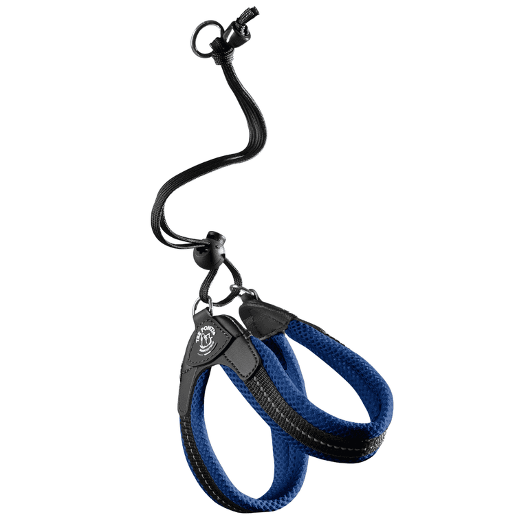 Blaues Hundehalsband mit gepolstertem schwarzen Bereich und verstellbarem Gurt für optimalen Komfort und Sicherheit.