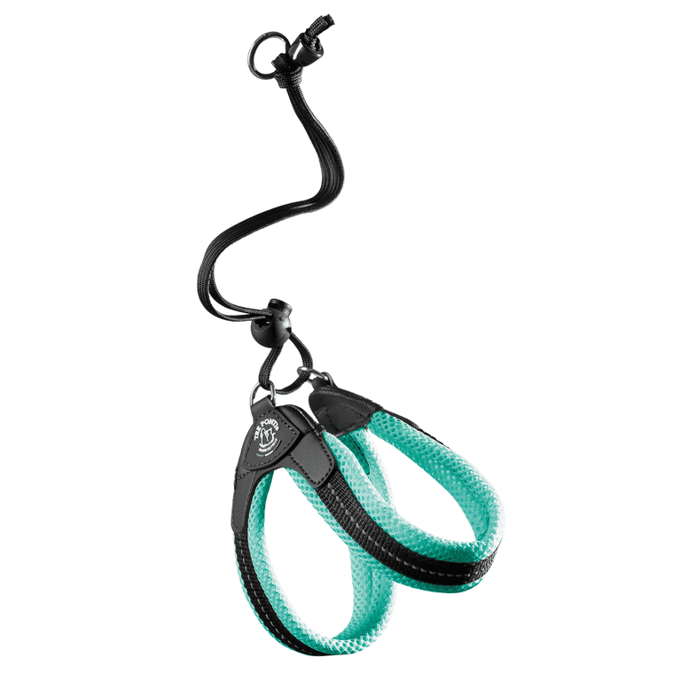 Paar Hundeleinen in Schwarz mit aqua-farbenen Akzenten, ergonomische Griffe, stabiler Karabiner, perfekte Anpassung.