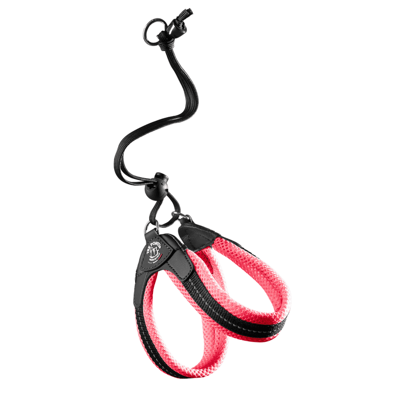 Hundeleinen in schwarz-neonpink mit gepolsterten Griffen und Karabinerhaken für optimalen Komfort und Sicherheit.