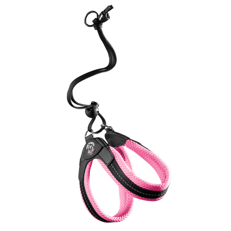 Verstellbares Hundehalsband in Pink mit gepolsterten Schlaufen und robustem Karabinerhaken für optimalen Tragekomfort.