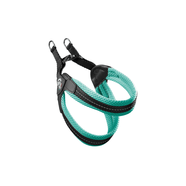 Hundegeschirr Easy Fit Click Mesh in schwarz-türkis mit verstellbaren Gurten und D-Ringen für optimale Sicherheit und Komfort.