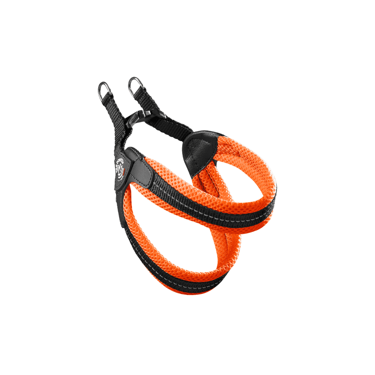 Orangefarbenes Hundegeschirr aus atmungsaktivem Netzmaterial mit reflektierenden Elementen und verstellbaren Gurten.
