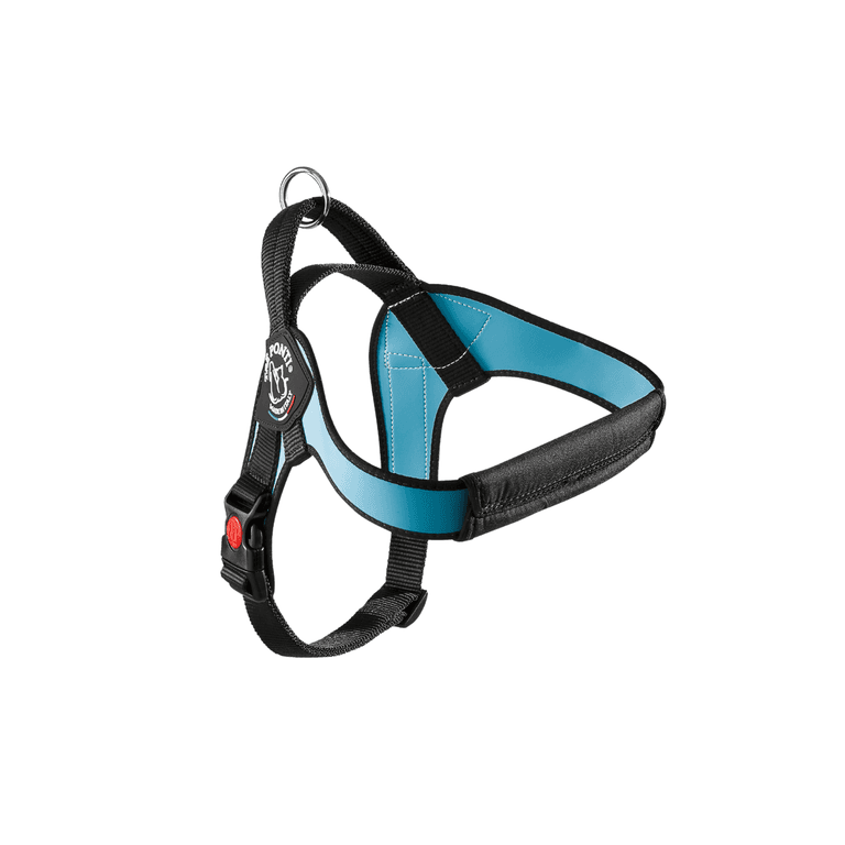 Ergonomisches Hundegeschirr in Schwarz und Blau mit verstellbaren Riemen, D-Ring und Sicherheitsverschluss.