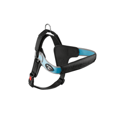 Ergonomisches Hundegeschirr in Schwarz-Blau mit gepolsterten Bereichen und verstellbaren Gurten für optimalen Komfort.
