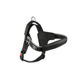 Schwarzes, robustes Hundegeschirr mit verstellbaren Riemen und Rückenöse zur Leinenbefestigung.