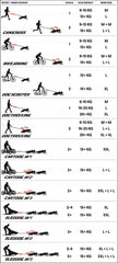 Tabelle mit Sportarten für Hunde: Canicross, Bikejoring mit empfohlenem Gewicht und Größe der Hunde.