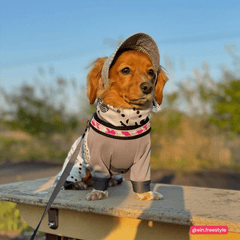 Kleiner Hund im grauen Polka-Dot-Outfit und pinker Leine, steht im hohen Gras mit einer süßen Mütze.