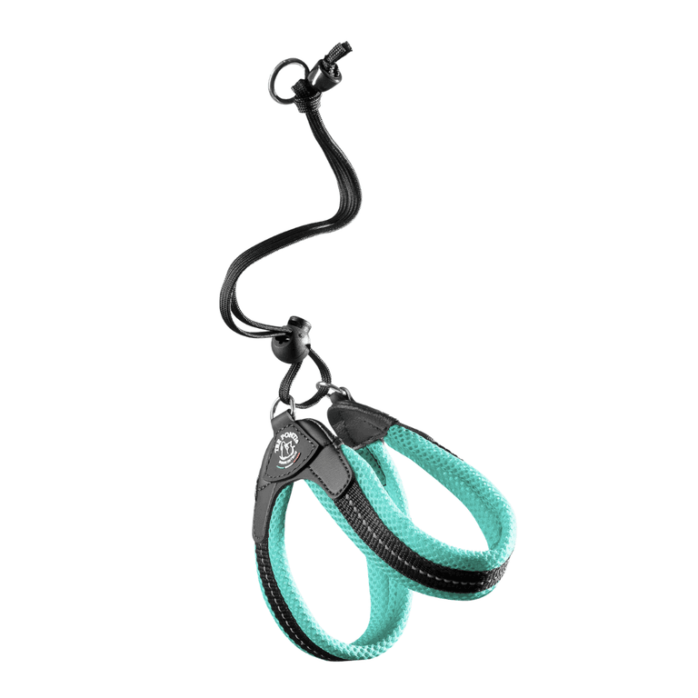 Zweifache Hundeleine in mintgrün und schwarz mit ergonomischem Design und Haltegriff für optimalen Komfort.