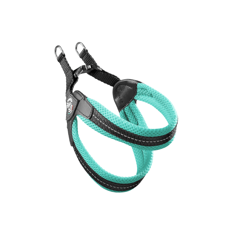 Türkis-schwarzes Hundegeschirr aus Netzmaterial mit D-Ringen für Leinenbefestigung, ideal für aktive Hunde.