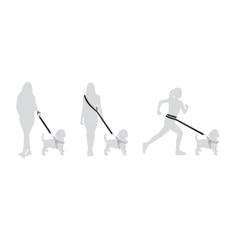 Mehrere Personen mit Hunden, die ein ergonomisches Hundeleinen-System für verschiedene Aktivitäten nutzen.