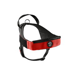 Schwarzes Hundegeschirr mit roten Akzenten, ergonomischem Design und verstellbaren Riemen für perfekten Sitz.