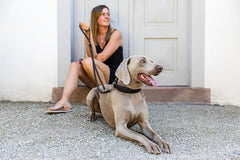 Frau in schwarzem Kleid sitzt entspannt auf dem Boden neben grauem Halsband vor brauner Tür.