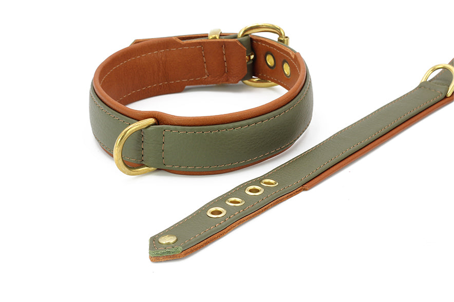 "Hundehalsband Klassik Exklusiv in olivgrün mit braunen Lederakzenten und goldfarbenen Metallteilen, inklusive Leine."