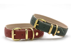 Hochwertige Lederhalsbänder in Rot und Grün mit goldenen Schnallen und gepolsterter Innenseite für optimalen Tragekomfort.