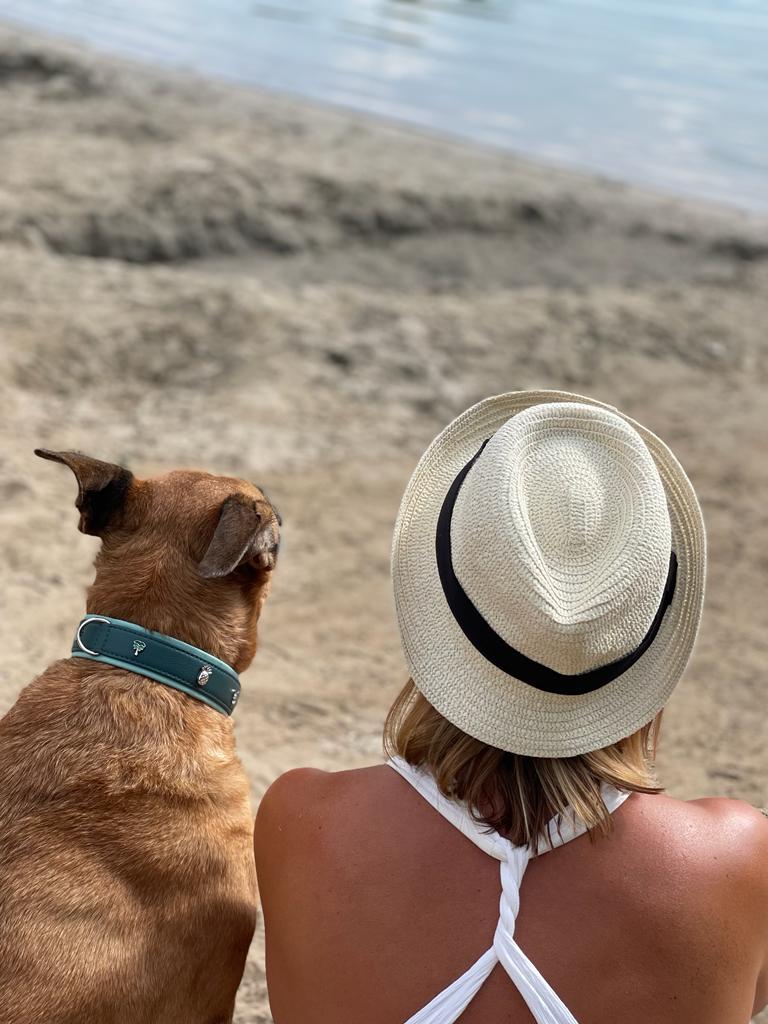 Person mit blonden Haaren am Strand, trägt Strohhut, neben ihr sitzt ein Hund mit braunem Fell und grünem Halsband.