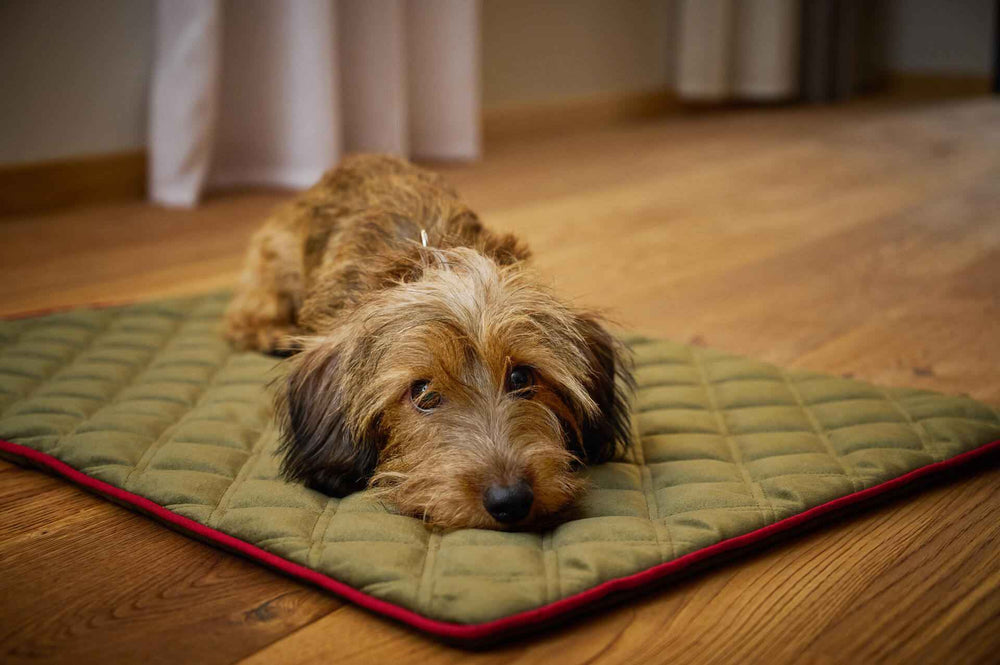 „Strapazierfähige Hundedecke OXFORD in edler Samtoptik, perfektes Zuhause für Hunde mit braunem Fell.“