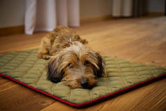 „Strapazierfähige Hundedecke OXFORD in edler Samtoptik, perfektes Zuhause für Hunde mit braunem Fell.“