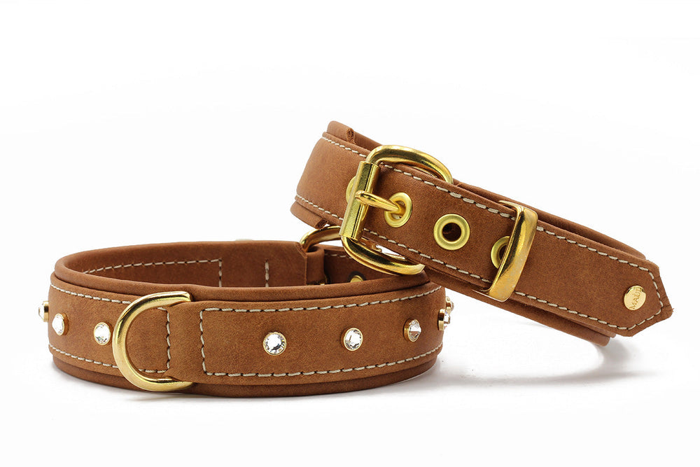 Braune Kunstleder-Hundehalsbänder mit goldfarbenen Beschlägen und Schmucksteinen, eines mit D-Ringen für die Leine.
