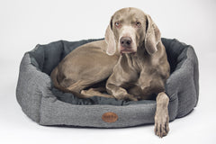 Silbergrauer Hund entspannt in ovalem gepolsterten Hundebett JOSI mit grauem Muster.
