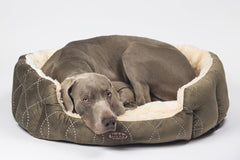 Hund liegt entspannt in ovalem, gepolstertem CENO Bett mit grünem Bezug und hellem Innenfutter.