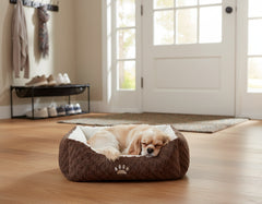 Schlafender Hund in braunem Komfortbett NEIKU mit hellem Innenfutter im hellen Eingangsbereich.