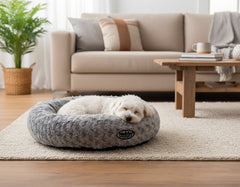 Schlafender Hund in grauem Hundebett in gemütlichem Wohnzimmer mit Sofa und Pflanze.