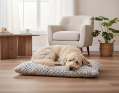 „Hund schläft entspannt auf grauem Komfortkissen ARUSHA in hellen Raum mit beigem Sessel.“