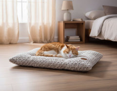 Schlafende orange-weiße Katze auf grauem Komfortkissen in gemütlichem Raum mit sanftem Licht.