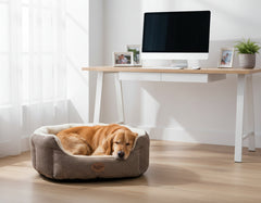 Gemütlicher Hundekorb ALBA oval mit goldenem Retriever, helles Zimmer mit Schreibtisch und Tageslicht.