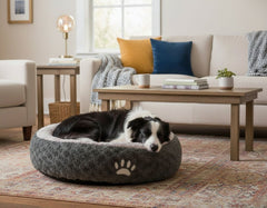 Hund auf grauem Donut-Hundebett in gemütlichem Wohnzimmer mit farbigen Kissen und Stehlampe.