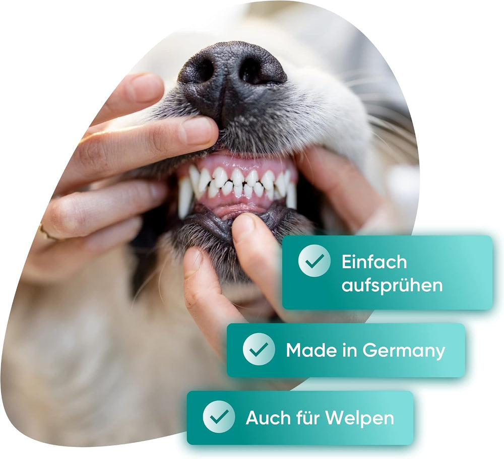 Dentalspray für Hunde