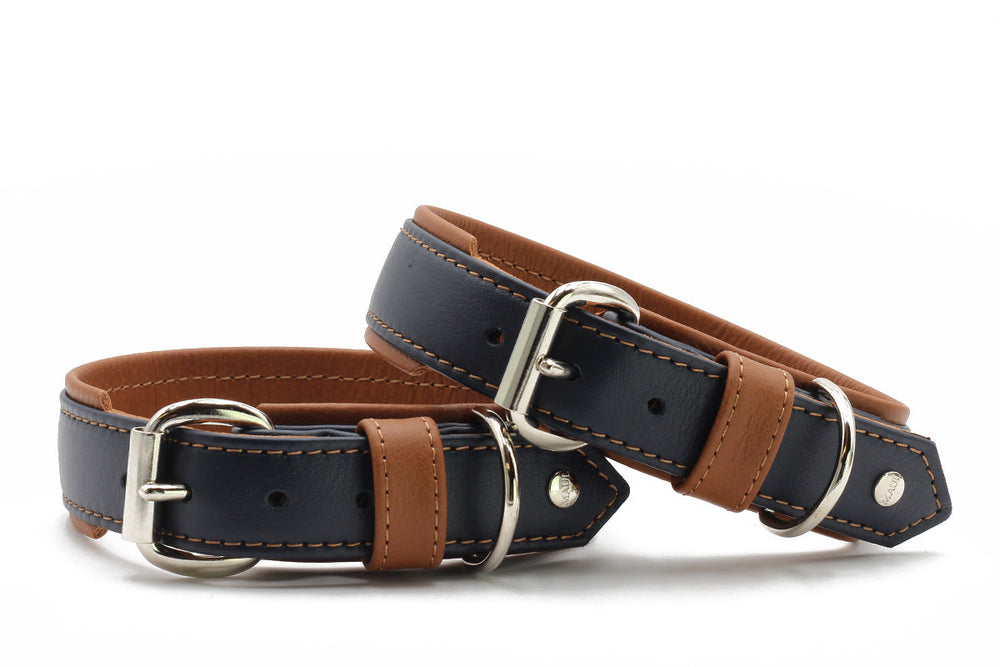 Halsband Klassik Soft Royal in Blau und Braun aus Leder mit silbernen Schnallen und D-Ringen für Hunde.