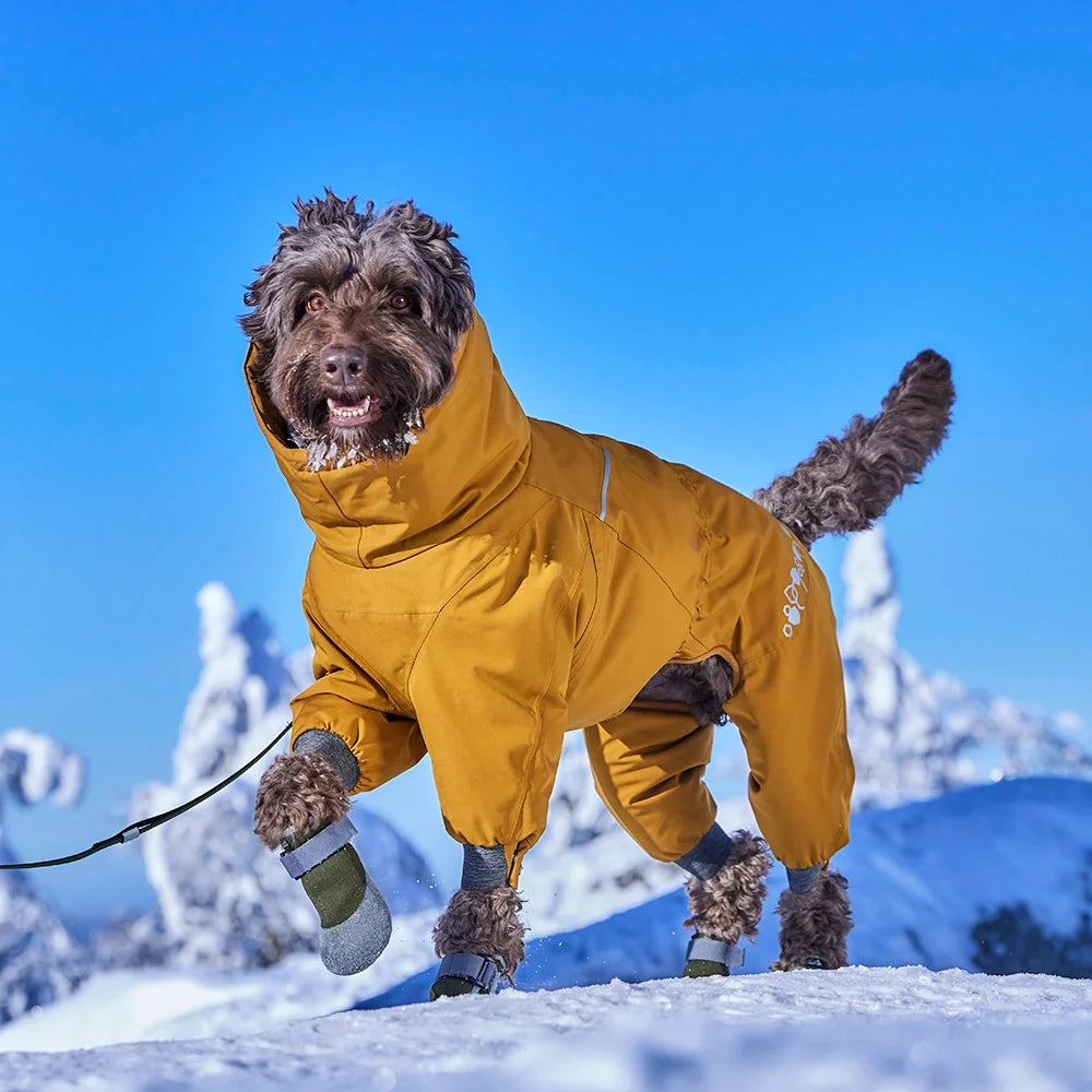 Extreme Overall II – Winteroverall – zusätzliche Produktansicht 8